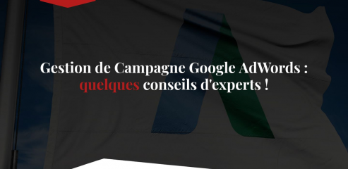 https://www.adwords-gestion-conseil.com